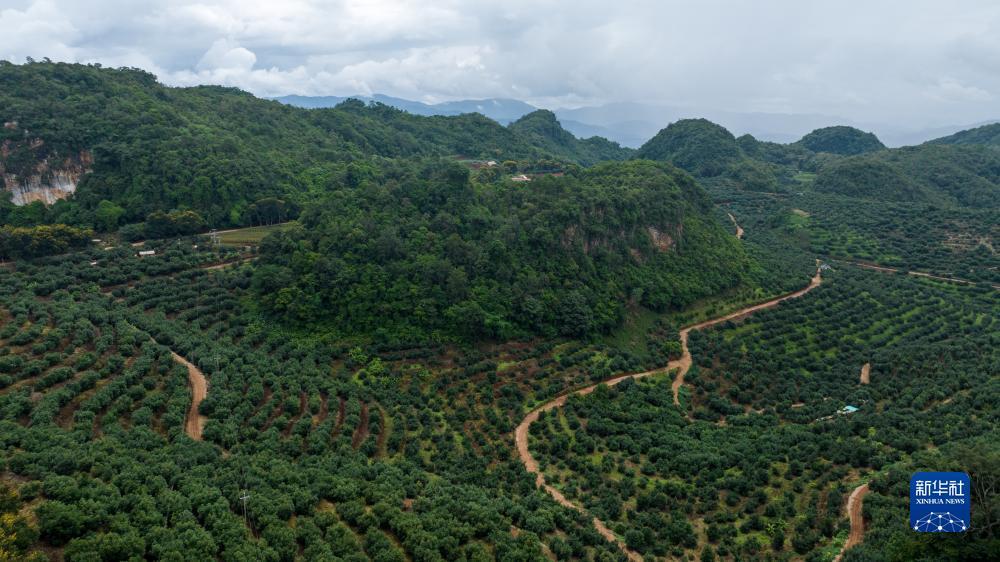 威尼斯登录地址